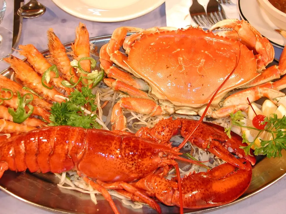 Shrimp and Lobster1.webp Shrimp and Lobster1.webp